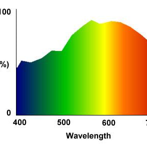 Color Imaging Techniques