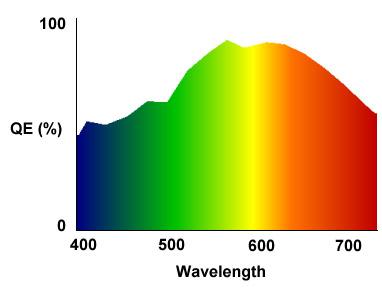 Color Imaging Techniques