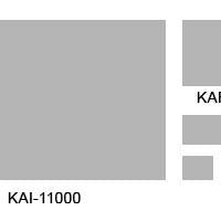 Advanced CCD Cameras