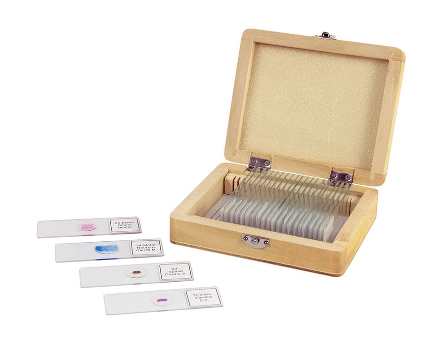 Prepared Microscope Slide Kit - 25 Piece Set