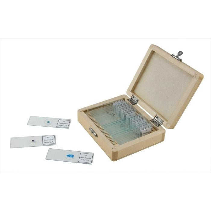 Prepared Microscope Slide Kit - 25 Piece Set