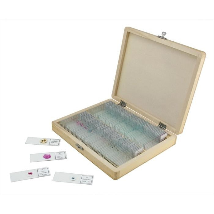 Prepared Microscope Slides - 100 Piece Set