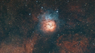 Trifid Nebula by Steve Nagel with HyperStar 8, ZWO ASI585 MC Pro and Antlia RGB Ultra
