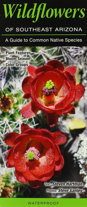 Wildflowers of Southeast Arizona: A Guide to Common Native Species (Quick Reference Guides)