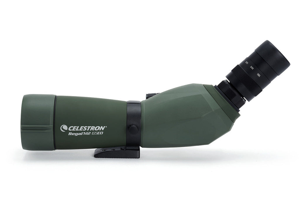 Celestron Regal M2 16-48X65mm ED Angled Zoom Spotting Scope